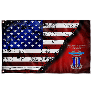 187 CIB Stars & Stripes Flag Elite Flags Wall Flag - 36"x60"