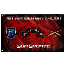 Load image into Gallery viewer, 1st Ranger Battalion Sua Sponte Flag Elite Flags Wall Flag - 36&quot;x60&quot;
